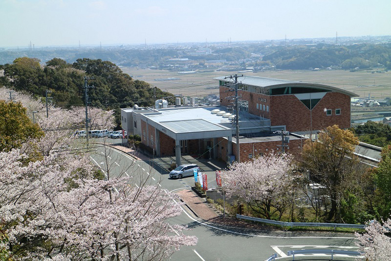 細江公園（宿舎横）の桜