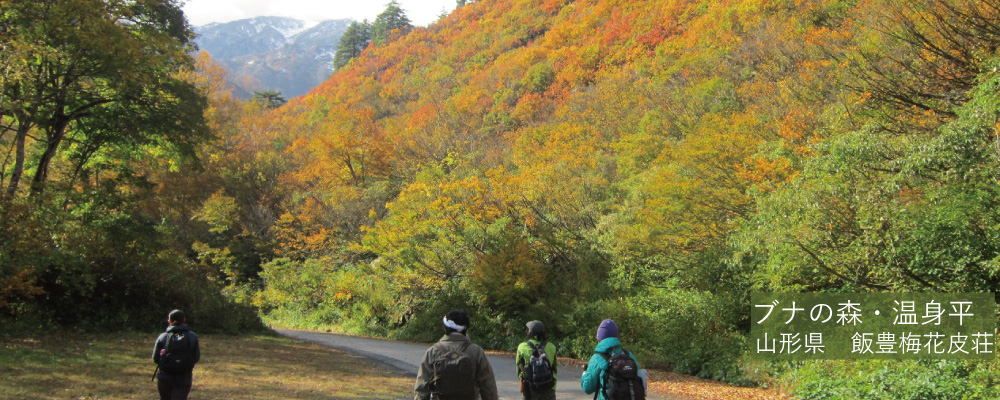 森林セラピーの基地温身平