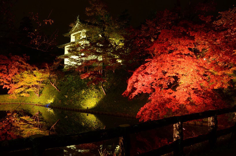 紅葉の写真