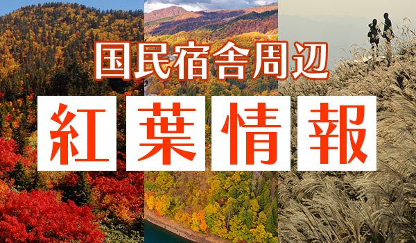 紅葉情報