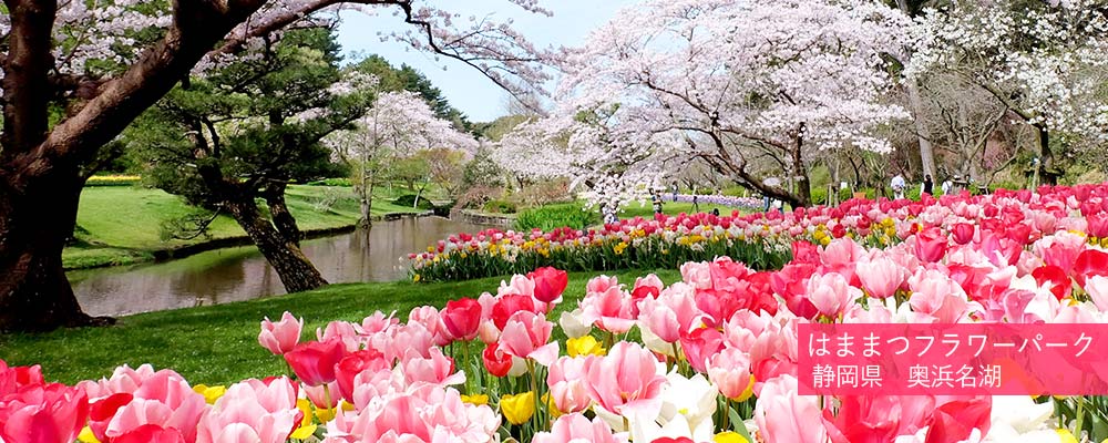 はままつフラワーパーク